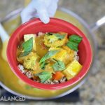 Spicy Green Pumpkin Curry
